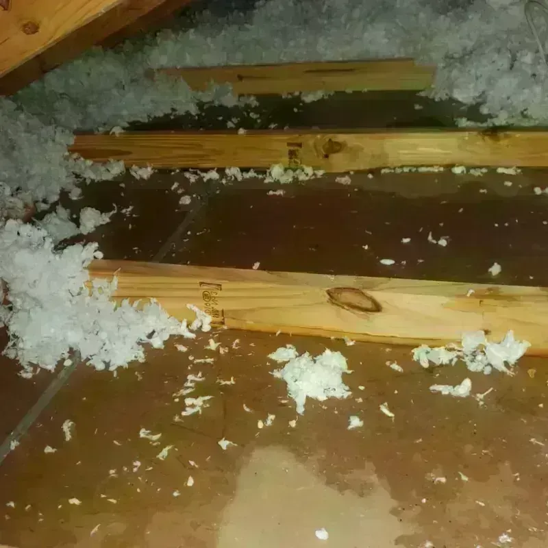 Attic Water Damage in Claiborne Parish, LA